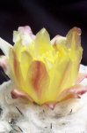 100_3186.JPG