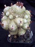 100_3210.jpg