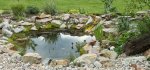 teich_05_2010_2.jpg teich_05_2010_2.jpg