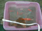 DSCN5798.jpg