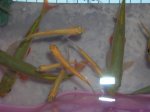 DSCN5830.jpg