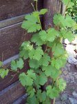 100_3488.JPG