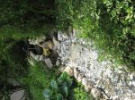 IMG_2743.JPG