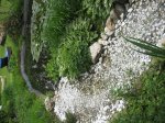IMG_2744.JPG