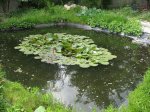IMG_2745.JPG