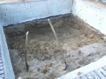 2010_0523Naturpool0087.jpg