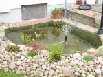 teich03.jpg