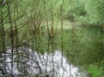 DSC01442.JPG