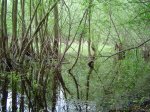 DSC01446.JPG