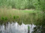 DSC01448.JPG