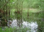 DSC01451.JPG