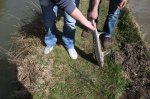 IMG_3293.jpg IMG_3293.jpg