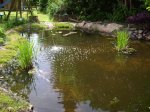 K1024_teich1.JPG K1024_teich1.JPG