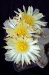 100_3907.JPG