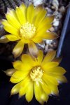 100_3975.JPG