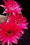 100_4052.JPG