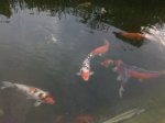 07062010561.jpg