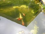 DSCN3053.jpg