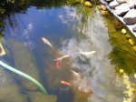 DSCN3055.jpg