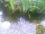 10-06-20_18-40.jpg