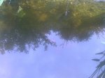 10-06-20_18-43.jpg