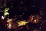 Teich bei nacht3_14A Kopie.jpg