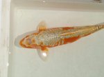 DSC01366.JPG