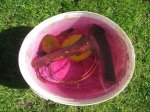 IMG_3790.JPG