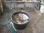 100_2478.jpg 100_2478.jpg