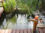 IMG_1361.JPG