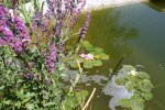 IMG_0082.JPG