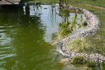 IMG_0065.JPG