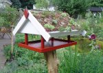 juli_20_vogelhaus_02.jpg