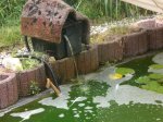 teich2.jpg