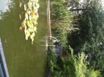 Teich1.JPG
