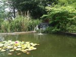 teich2.JPG