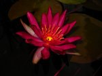 hidden-violett07.jpg