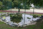Teich-2.jpg