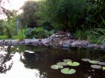 PIC01899.jpg