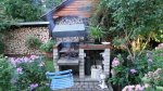DSC06012.jpg