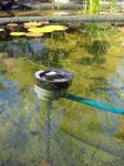 Teich 06_2010.jpg