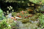 DSC04644.JPG