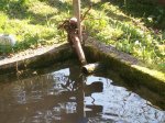 100_3543.jpg