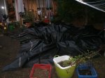 GEDC2646_600_450.jpg GEDC2646_600_450.jpg