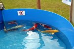 DSC04737.JPG