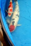 DSC04749.JPG