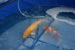 DSC04772.JPG