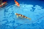 DSC04793.JPG