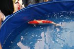 DSC04812.JPG