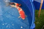 DSC04814.JPG